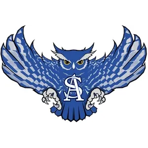 Anderson-Shiro CISD logo
