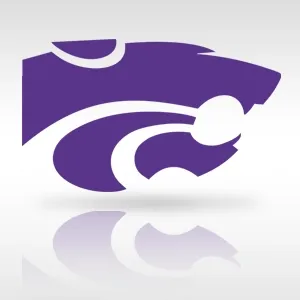 Big Sandy ISD Logo