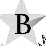 Bloomburg ISD Logo