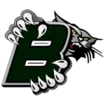 Blum ISD Logo