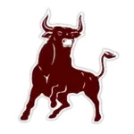 Bridgeport ISD Logo