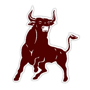 Bridgeport ISD logo