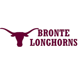 Bronte ISD logo