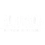 Burleson ISD Logo