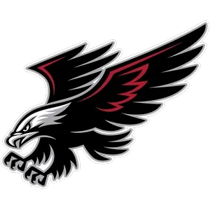 Channing ISD logo