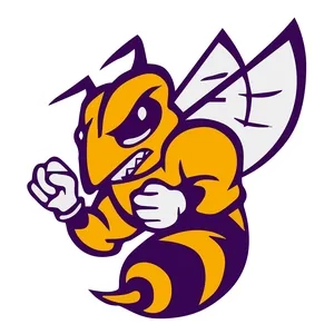 Chester ISD Logo