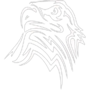 Chillicothe ISD logo