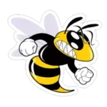 Coolidge ISD Logo