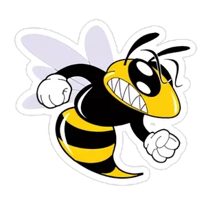 Coolidge ISD Logo