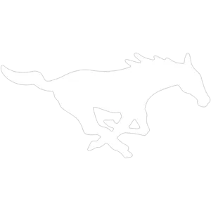 Denver City ISD Logo