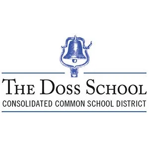 Doss CONSOLIDATED CSD Logo
