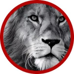Kountze ISD logo