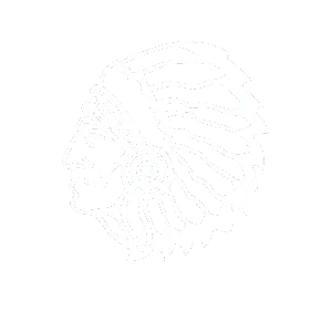 Port Neches-groves ISD Logo
