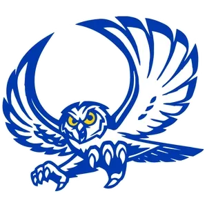 Reagan COUNTY ISD Logo