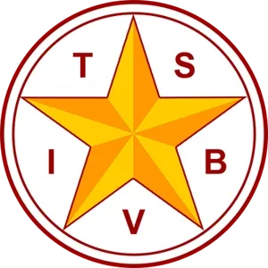 Texas Sch For The Blind & Visually Impaired Logo