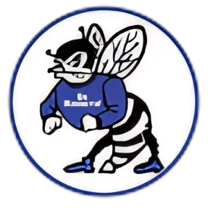 Walnut Springs ISD Logo