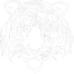 Wills Point ISD Logo